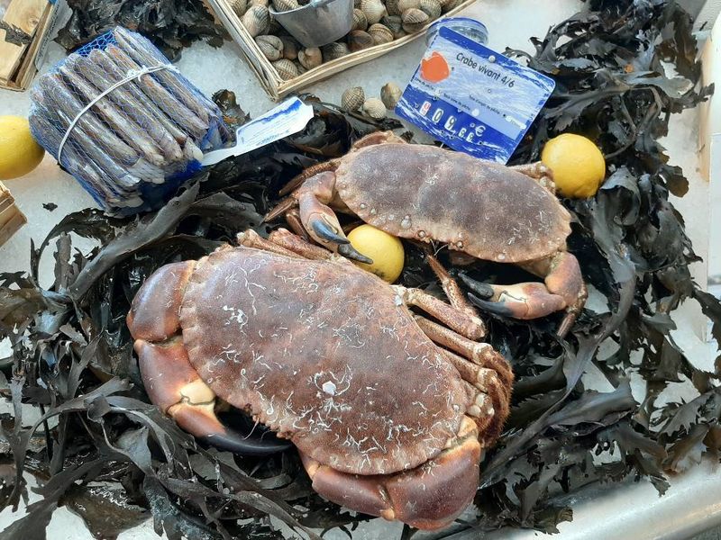 Acheter des tourteaux et de crabe à la poissonnerie Marée Bleue Yvrac et Sainte-Eulalie