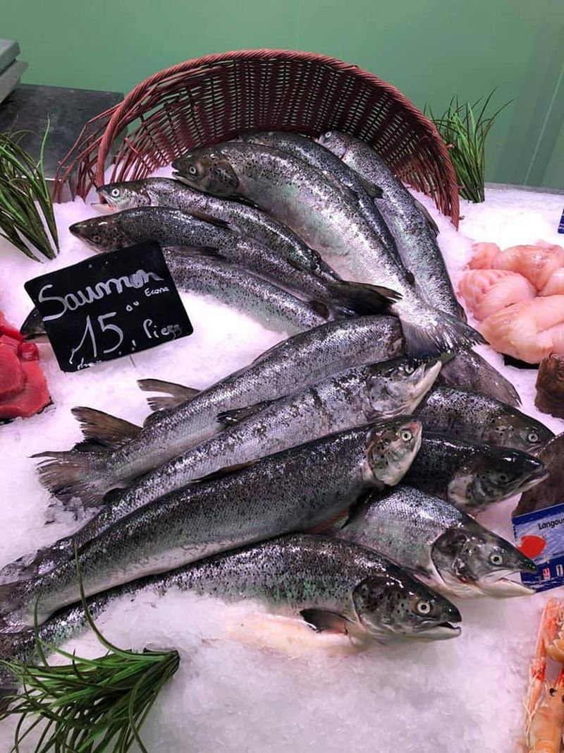 vente de gros saumon entier poissonnerie Marée Bleue Yvrac et Sainte-Eulalie