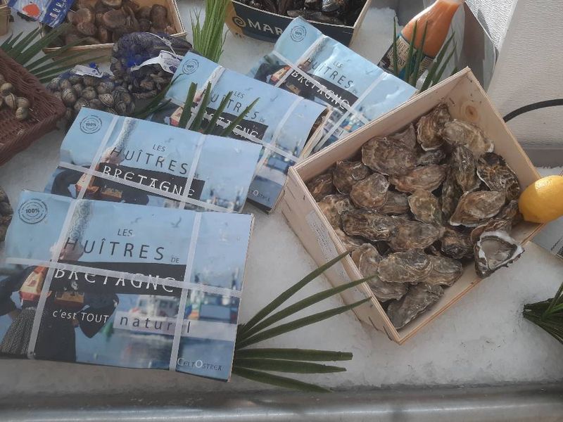 comment choisir ses huîtres ? poissonnerie Marée Bleue à Mérignac proche Pessac centre à Bordeaux