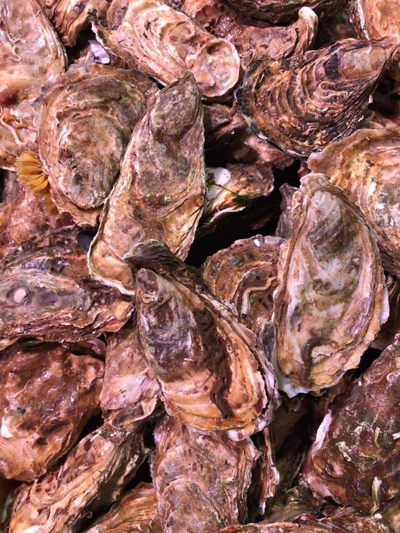 vente d'huîtres  non laiteuses à la poissonnerie Marée Bleue à Yvrac proche libourne