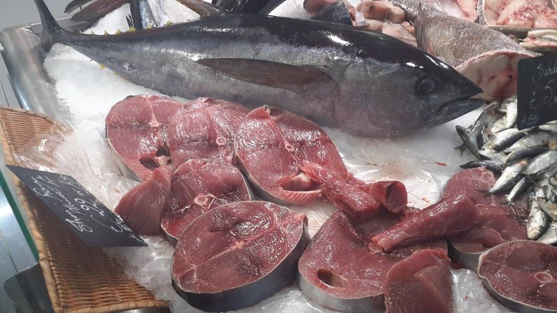 vente de thon rouge extra chez marée Bleue poissonnerie à Bordeaux