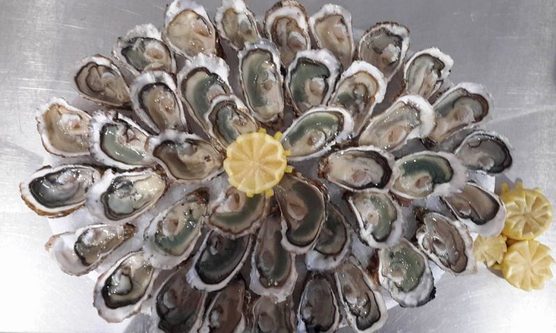 vente d'huîtres à la poissonnerie Marée Bleue à Yvrac et Mérignac en Gironde