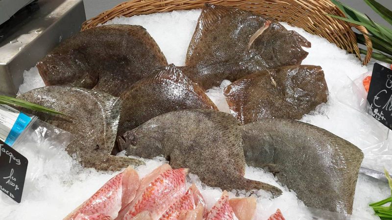 vente SOLES et grosse sole filet  poissonnerie-traiteur Marée Bleue à Yvrac et Mérignac !