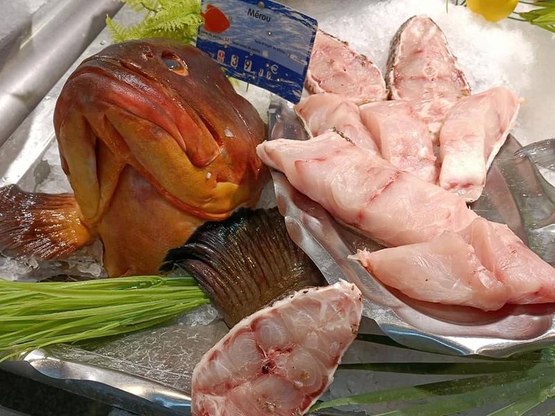 arrivage poisson frais mérou frais chez poissonnerie-traiteur Marée Bleue à Yvrac et Mérignac !