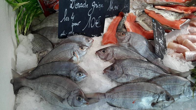 vente de petite dorade grise sauvage poissonnerie Marée Bleue Yvrac et Mérignac en Gironde