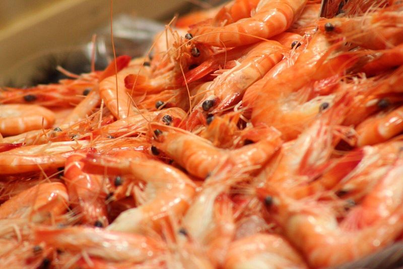 Grosse promotion week-end  la grosse queue de lotte extra, crevettes roses  Paella maison à la poissonnerie Marée Bleue Yvrac et Mérignac dans la halle de l'heure du marché près de Cultura