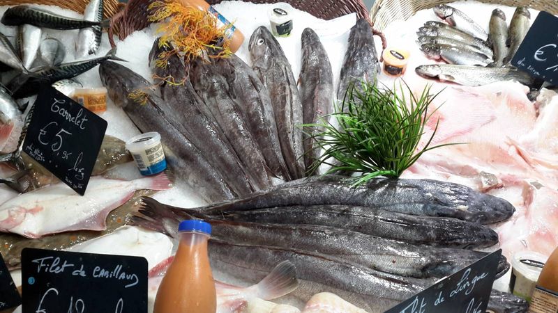 Achats de MERLU chez poissonnerie-traiteur Marée Bleue à Yvrac et Mérignac !