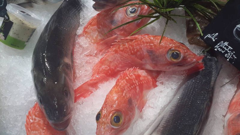 vente de poisson rascasse extra poissonnerie marée bleue yvrac artigues floirac, libourne