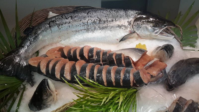 Vente de saumon sauvage chez Marée Bleue Yvrac et Mérignac !