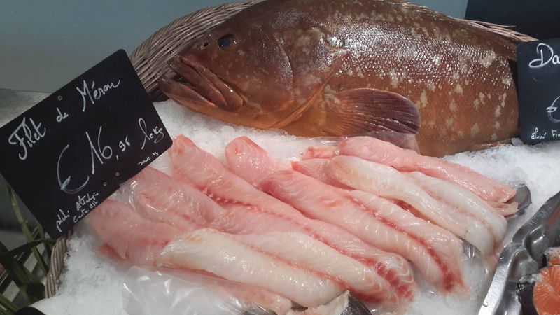 achats de poisson frais Filets de mérou et mérou en tranches à la poissonnerie de bordeaux Marée Bleue poissonnerie-traiteur à Bordeaux en Gironde