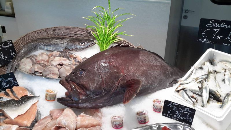vente de Gros mérou noir de 22 kg chez  la poissonnerie Marée Bleue Yvrac !