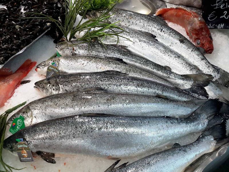 promo saumon entier  chez poissonnerie Marée Bleue Yvrac en Gironde