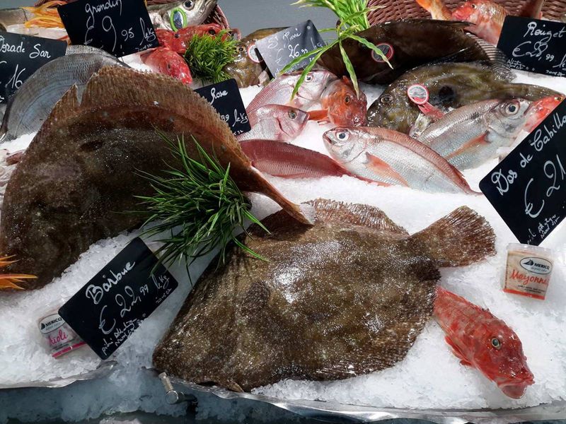 La poissonnerie Marée Bleue Yvrac et Mérignac vous propose à la vente de gros poisson Barbue extra de plus d'un kg.