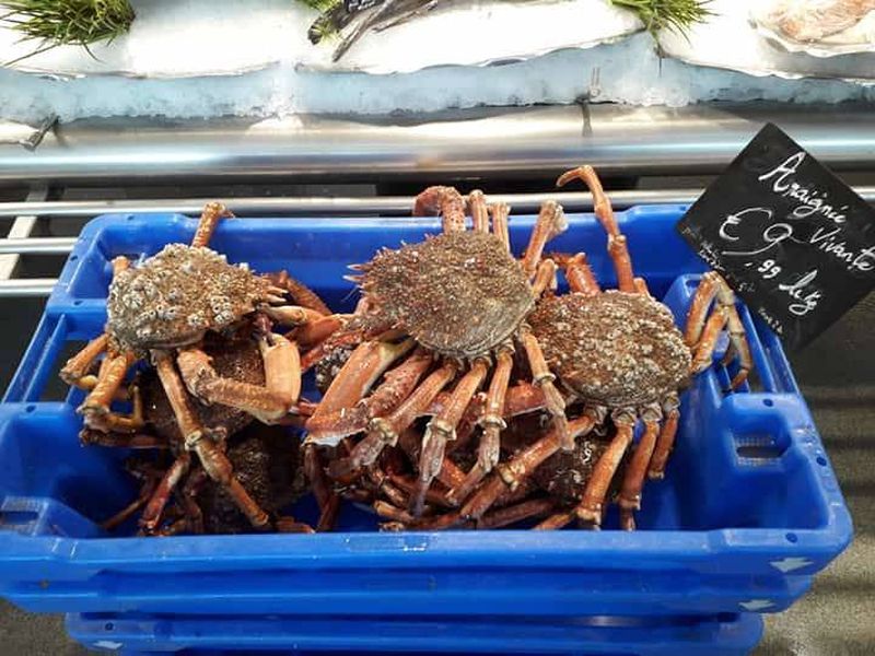vente de grosses araignées de mer vivantes poissonnerie Marée Bleue Yvrac Libourne Floirac Créon