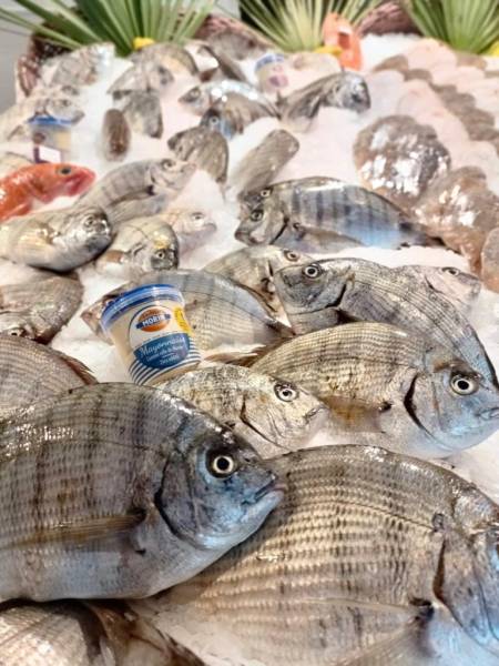arrivage de gros pageot poisson frais du moment poissonnerie Marée Bleue Yvrac près de Bordeaux