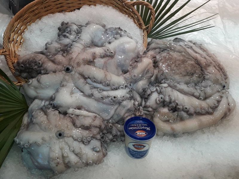 Venez acheter des poulpes FRAIS bordeaux Marée Bleue poissonnerie traiteur