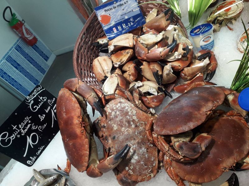 Ou Acheter des pinces de crabe et demi tourteau cuit ? poissonnerie Marée Bleue Yvrac et Mérignac