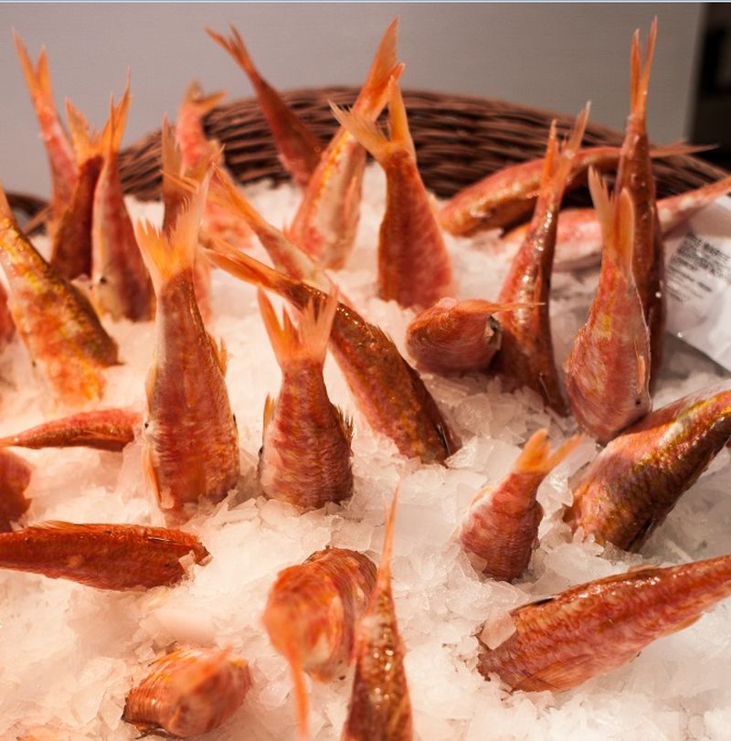 vente de rouget extra en promo chez poissonnerie-traiteur Marée Bleue à Yvrac, Mérignac et Sainte-Eulalie !