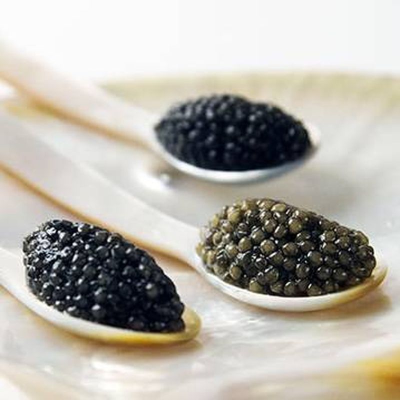 Vente de Caviar et ses cuillères en nacre poissonnerie-traiteur de qualité à Sainte-Eulalie