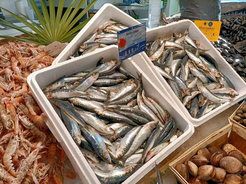 Arrivage de sardines fraîches pour grillade et anchois frais poissonnerie Marée Bleue Yvrac
