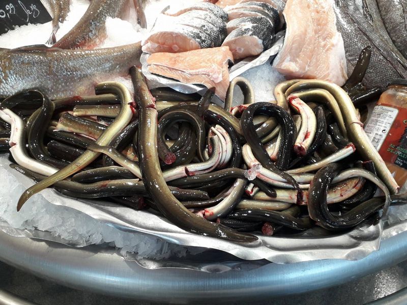 Réservation d'anguilles vivantes,  vente d'anguilles coupées et nettoyées à Bordeaux chez Marée Bleue poissonnerie-traiteur à Yvrac et Mérignac en Gironde
