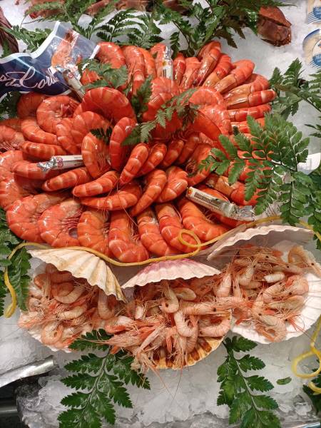 gambas royale, crustacés et crevette blanche en vente à la poissonnerie marée bleue yvrac proche libourne 