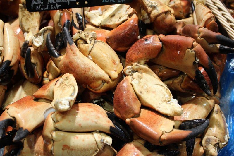 Vente de grosses pinces de crabe cuites poissonnerie Marée Bleue Yvrac, Floirac, Libourne