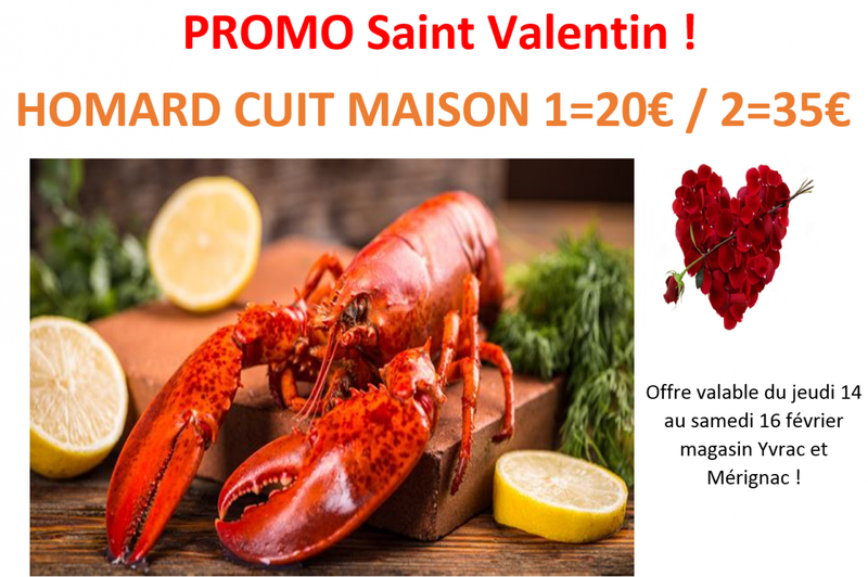 Offre Saint Valentin homard cuit maison 20€/pièce les 2 pour 35€ langoustines 9.99€/kg poissonnerie Marée Bleue Yvrac et Mérignac